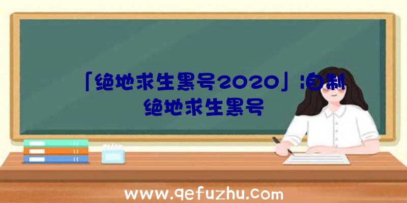 「绝地求生黑号2020」|自制绝地求生黑号